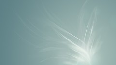 Minimalistic gray simple