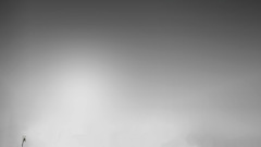 Minimalistic grayscale