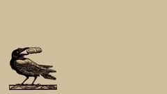 Minimalistic illustrations crows