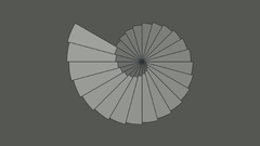 Minimalistic nautilus