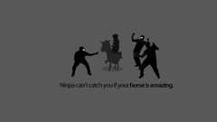 Minimalistic ninjas ninjas cant catch you if