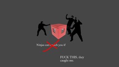 Minimalistic ninjas ninjas cant catch you if