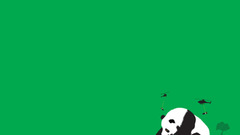 Minimalistic panda bears