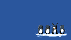 Minimalistic Penguins