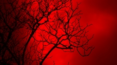 Minimalistic red background