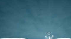 Minimalistic simplistic