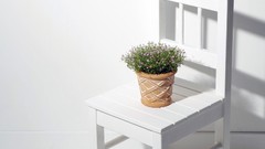 Minimalistic simplistic