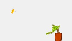 Minimalistic simplistic