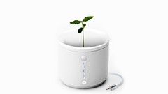 Minimalistic simplistic