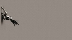 Minimalistic simplistic