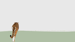 Minimalistic Tigers Animals