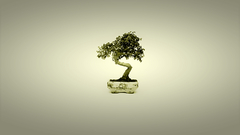 Minimalistic Trees Bonsai Simple