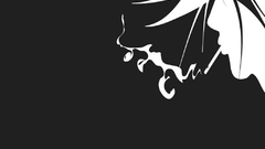 Minimalistic vectors