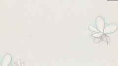 Minimalistic white Flowers