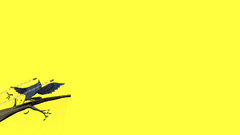 Minimalistic yellow Birds matrix