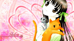 Minitokyo Anime fruits basket
