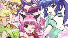 Mint tokyo mew mew Zakuro
