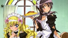 Misaki ayuzawa kaichou wa