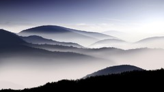 Mist hillside