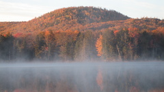 Mist lifts from twim