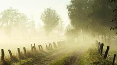 Misty morning observe pattern