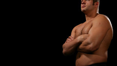 Mma fedor emelianenko fighters