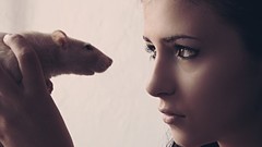 Models deviantart Neon Lynxie