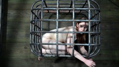 Models redheads nude BDSM cages Hazel Hypnotic