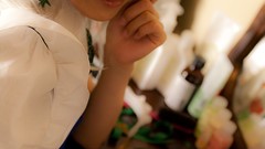 Models touhou Lenfried