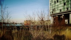 Modern architecture urban