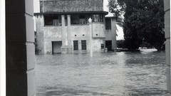 Molesworth street Lismore nsw