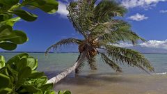 Molokai Hawaii nature