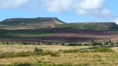 Monitor nice walls some need dual neonsalad