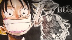Monkey d luffy One Piece (anime)