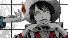 Monkey d luffy One Piece (anime)