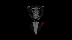 monkey smoking artwork selective coloring cigars Animals rose