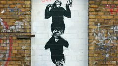 Monkeys banksy street Art