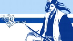 Monochrome bleach Kuchiki byakuya