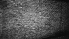 Monochrome brick wall