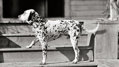 Monochrome civil war old west