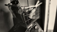 Monochrome deviantart shopping carts