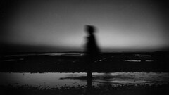 monochrome dusk silhouette sky outdoors