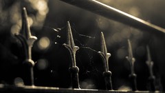 Monochrome fences bokeh spider webs