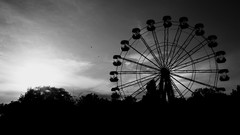 Monochrome ferris wheels