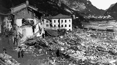 Monochrome grayscale