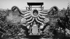 Monochrome grayscale