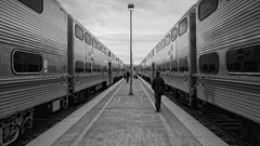 Monochrome grayscale trains train stations train car