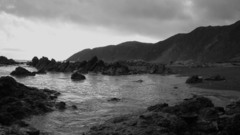 Monochrome holy lands