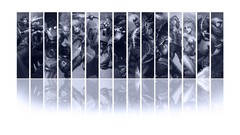 Monochrome League of Legends riven lee sin