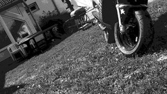 Monochrome malaguti F12